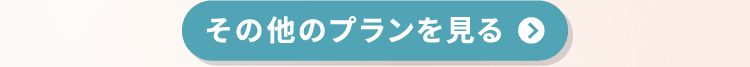 その他のプランを見る