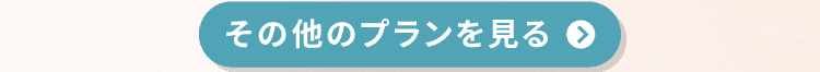 その他のプランを見る