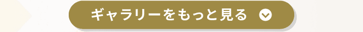 ギャラリーをもっと見る
