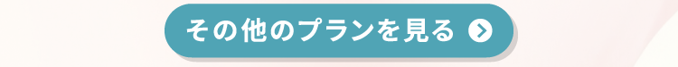 その他のプランを見る