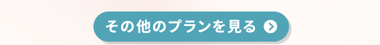 その他のプランを見る