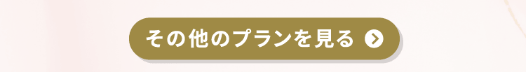 その他のプランを見る