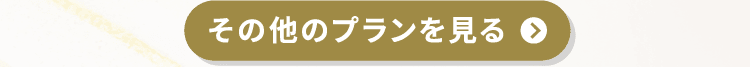その他のプランを見る