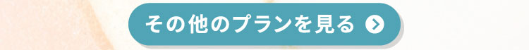 その他のプランを見る